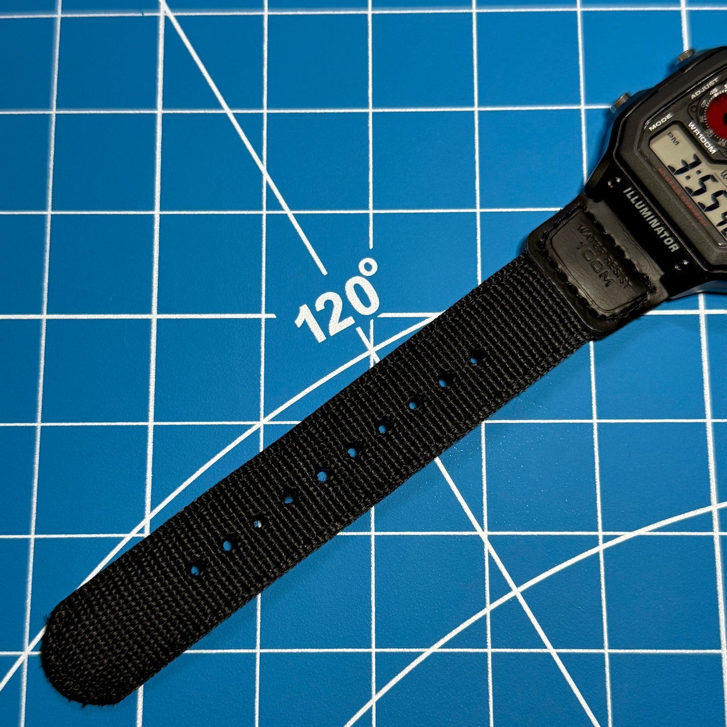 "Blackbird" Casio Royale